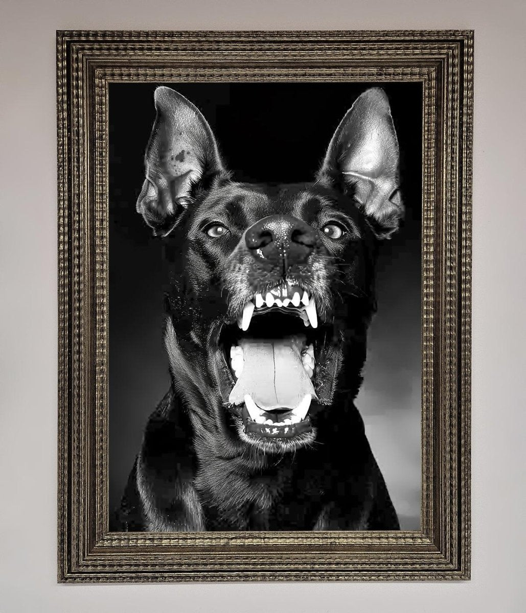 Angry Doberman Dog Framed Wall Art - Zestio