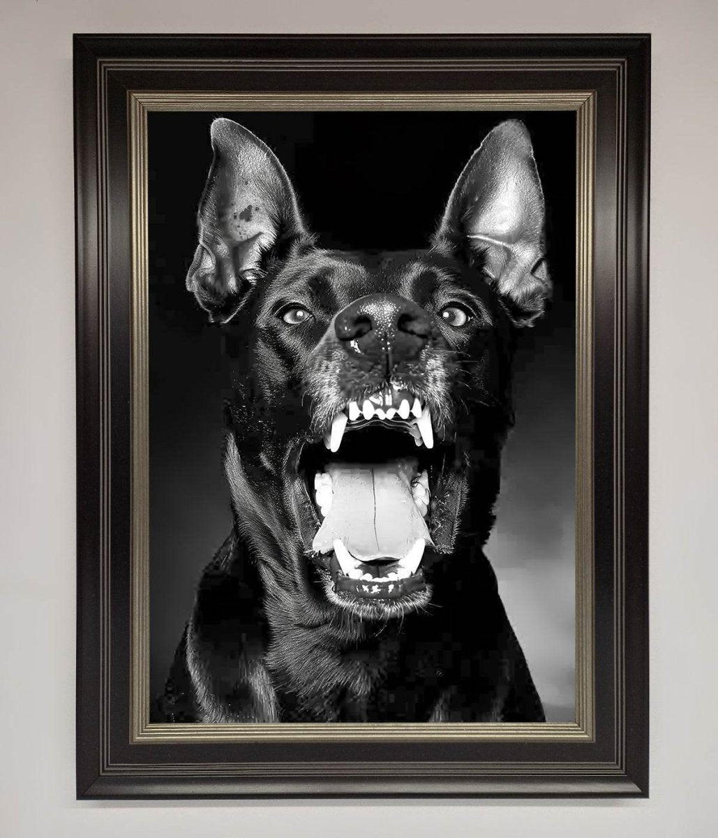Angry Doberman Dog Framed Wall Art - Zestio