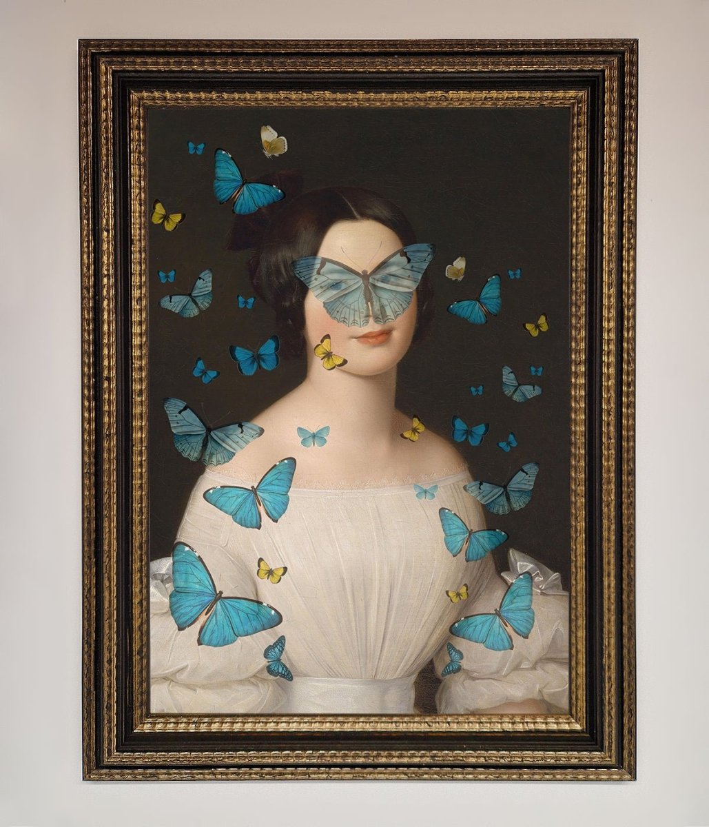 Butterfly Renaissance Framed Print - Zestio