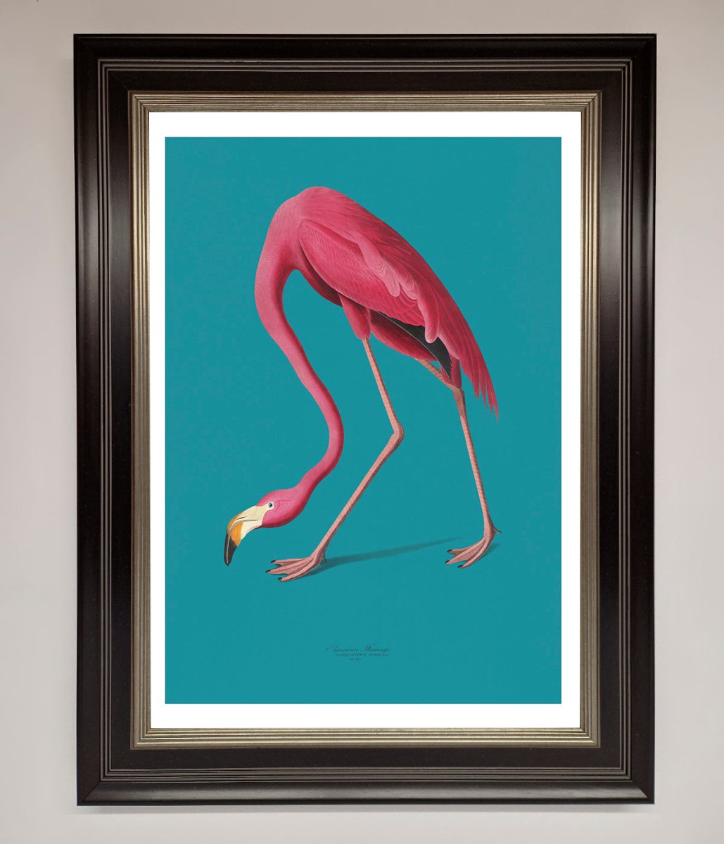 Flamingo Walks Blue Framed Print - Zestio