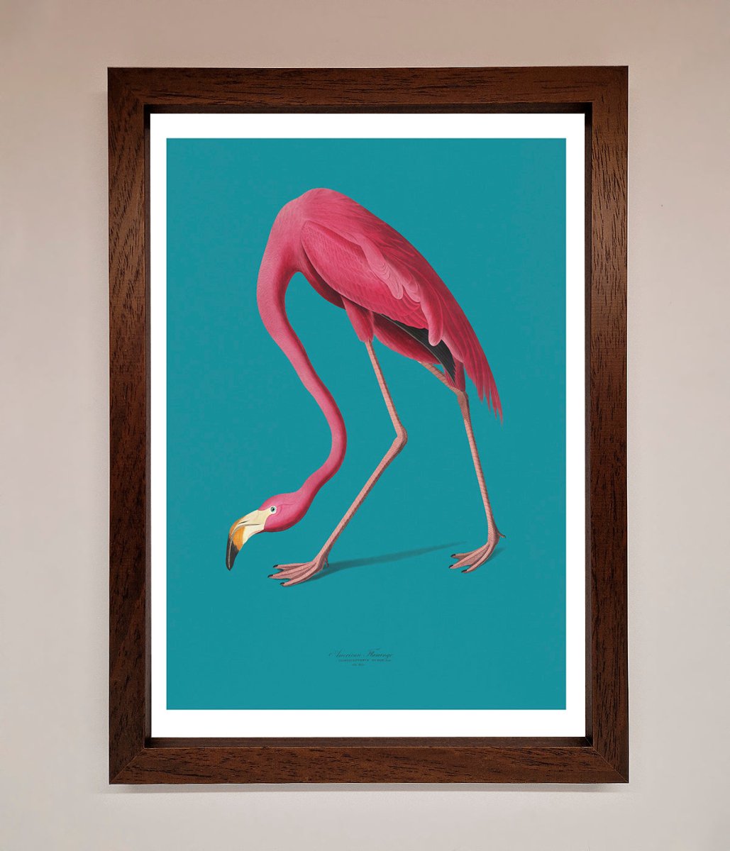 Flamingo Walks Blue Framed Print - Zestio