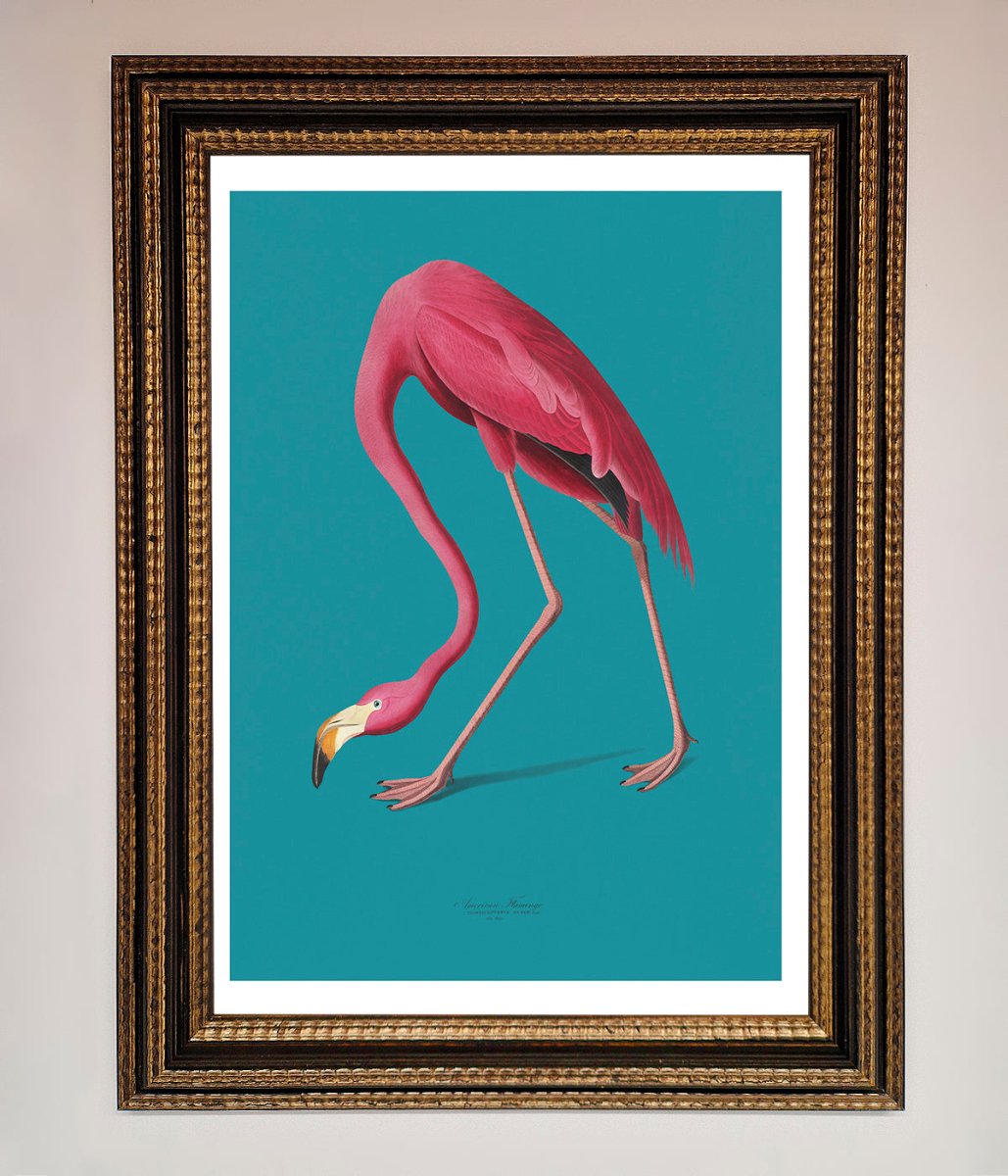 Flamingo Walks Blue Framed Print - Zestio