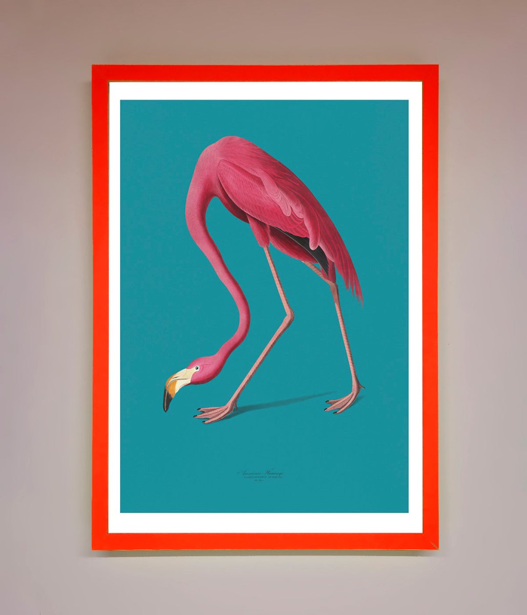 Flamingo Walks Blue Framed Print - Zestio