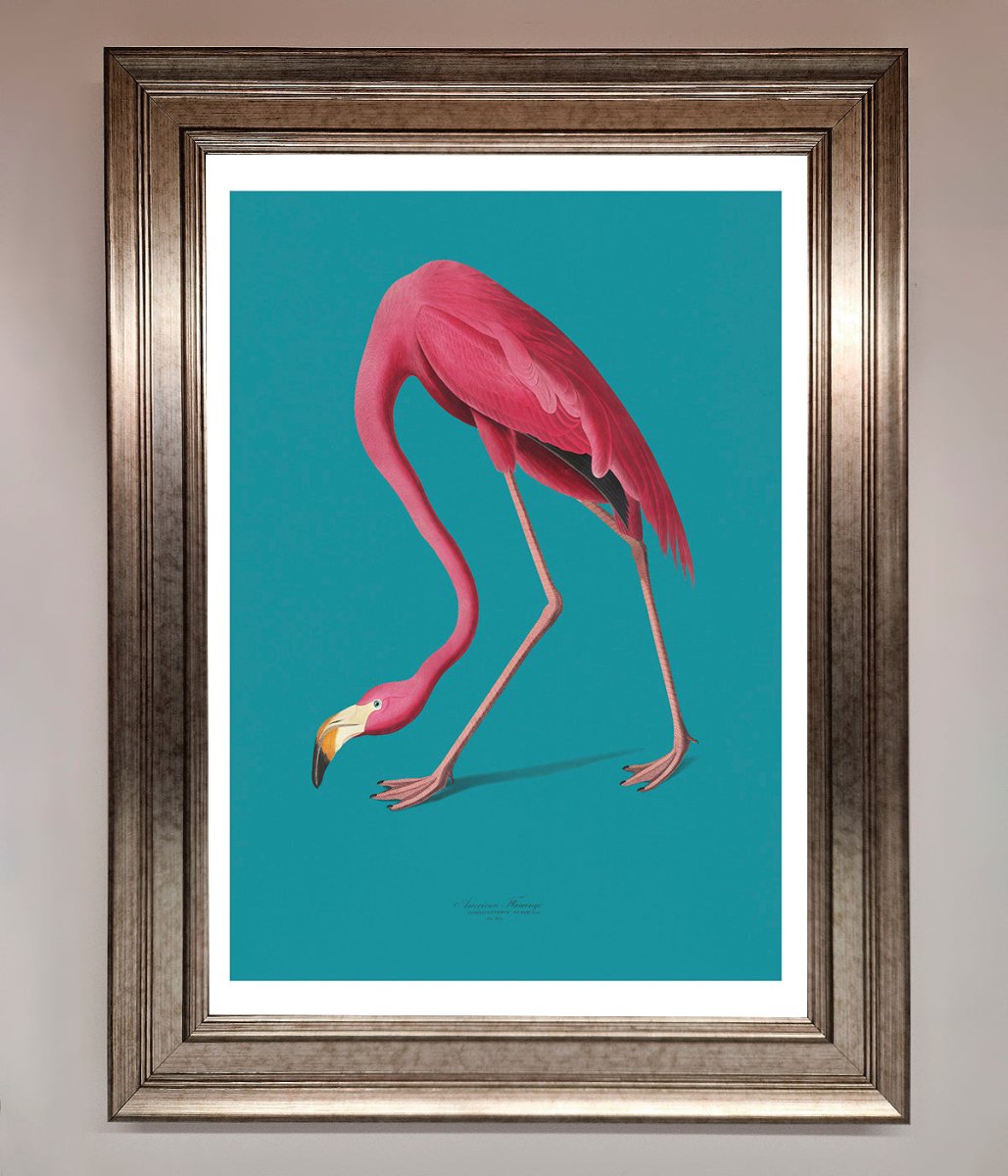 Flamingo Walks Blue Framed Print - Zestio