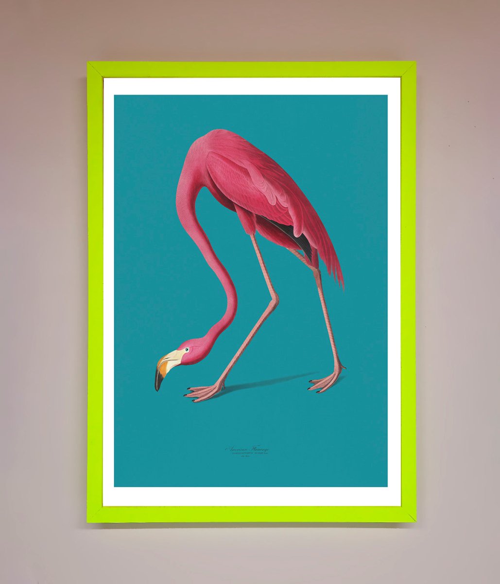 Flamingo Walks Blue Framed Print - Zestio