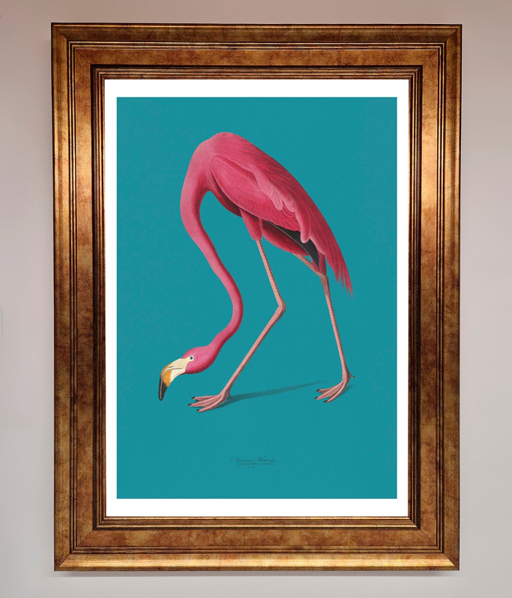 Flamingo Walks Blue Framed Print - Zestio