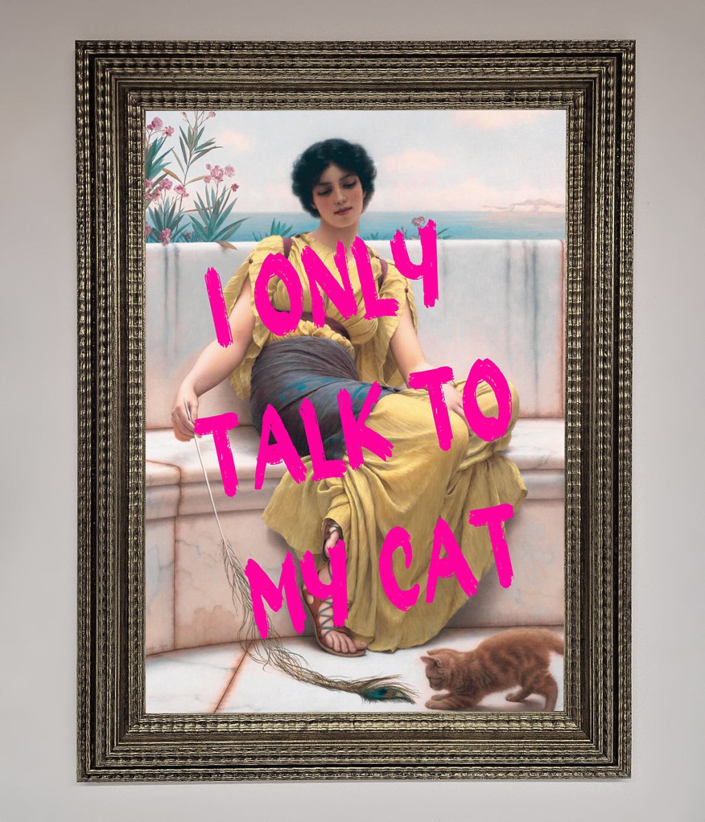 I Only Talk To My Cat Framed Wall Art - Zestio