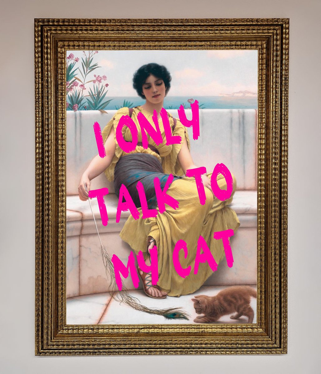 I Only Talk To My Cat Framed Wall Art - Zestio