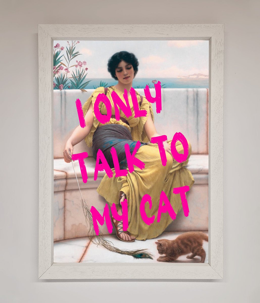 I Only Talk To My Cat Framed Wall Art - Zestio