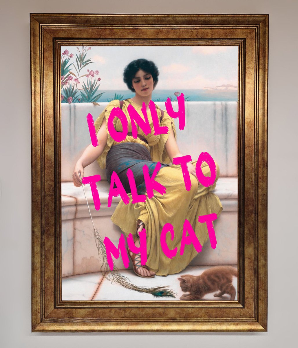 I Only Talk To My Cat Framed Wall Art - Zestio