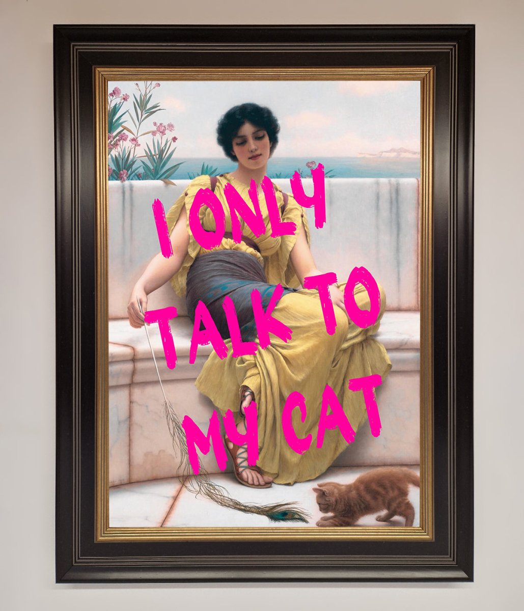 I Only Talk To My Cat Framed Wall Art - Zestio