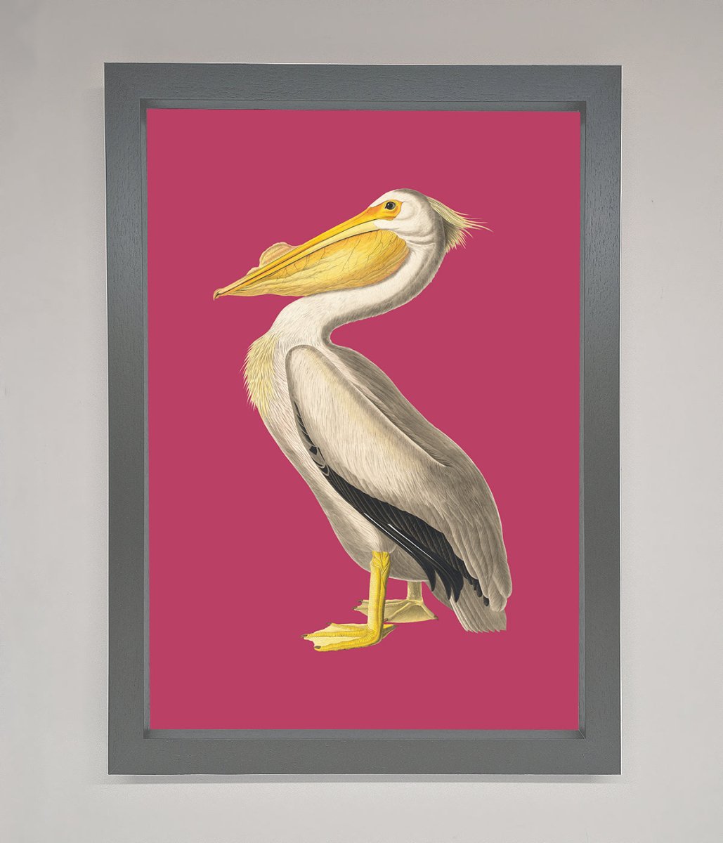 Pelican On Pink Framed Poster - Zestio
