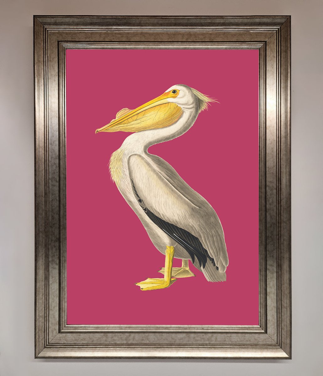 Pelican On Pink Framed Poster - Zestio