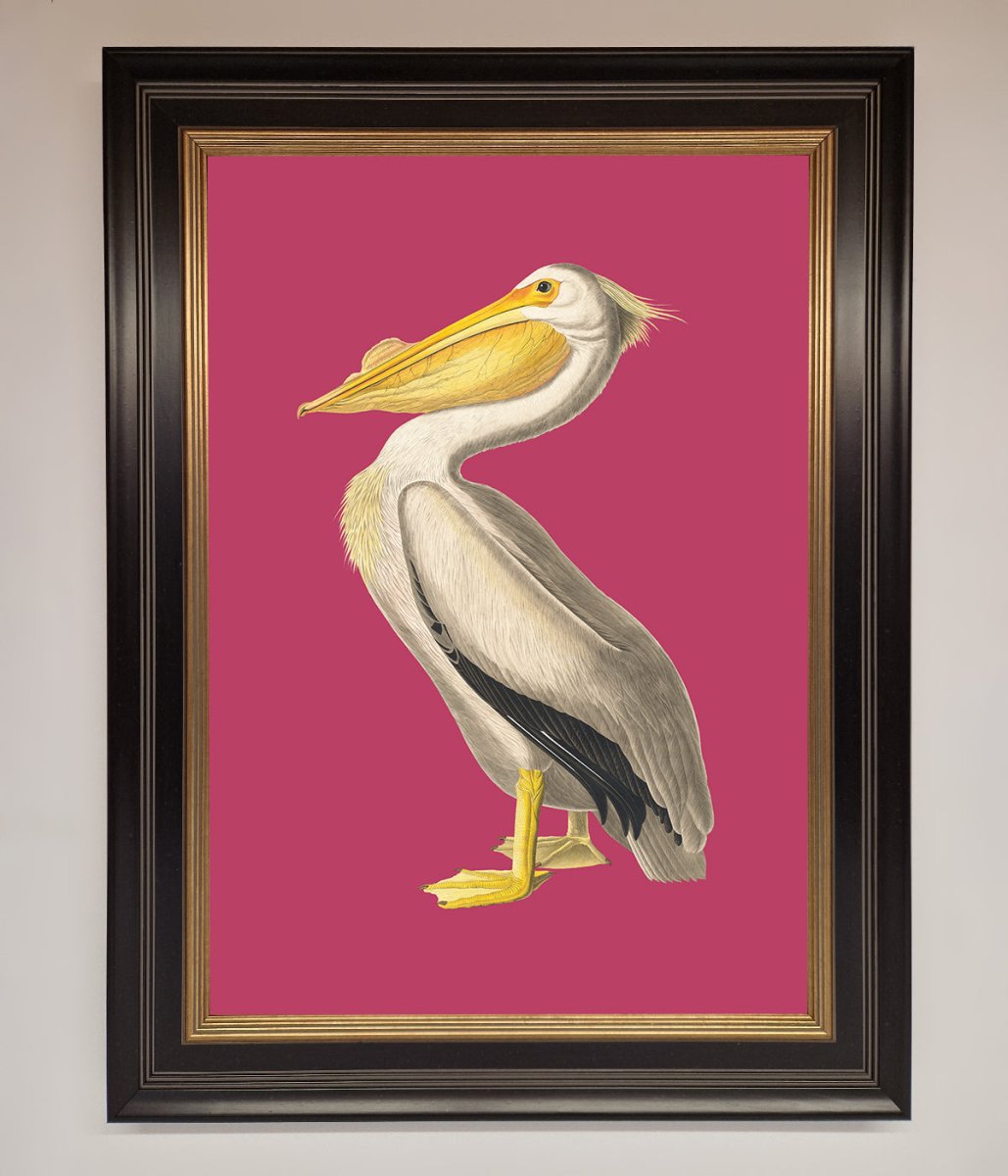 Pelican On Pink Framed Poster - Zestio