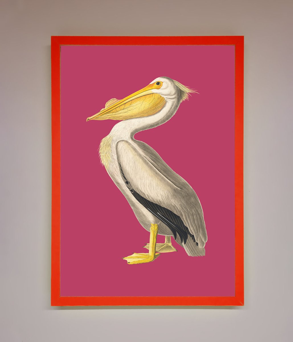 Pelican On Pink Framed Poster - Zestio