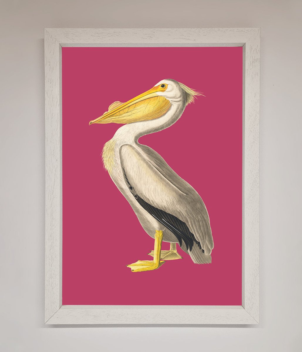 Pelican On Pink Framed Poster - Zestio