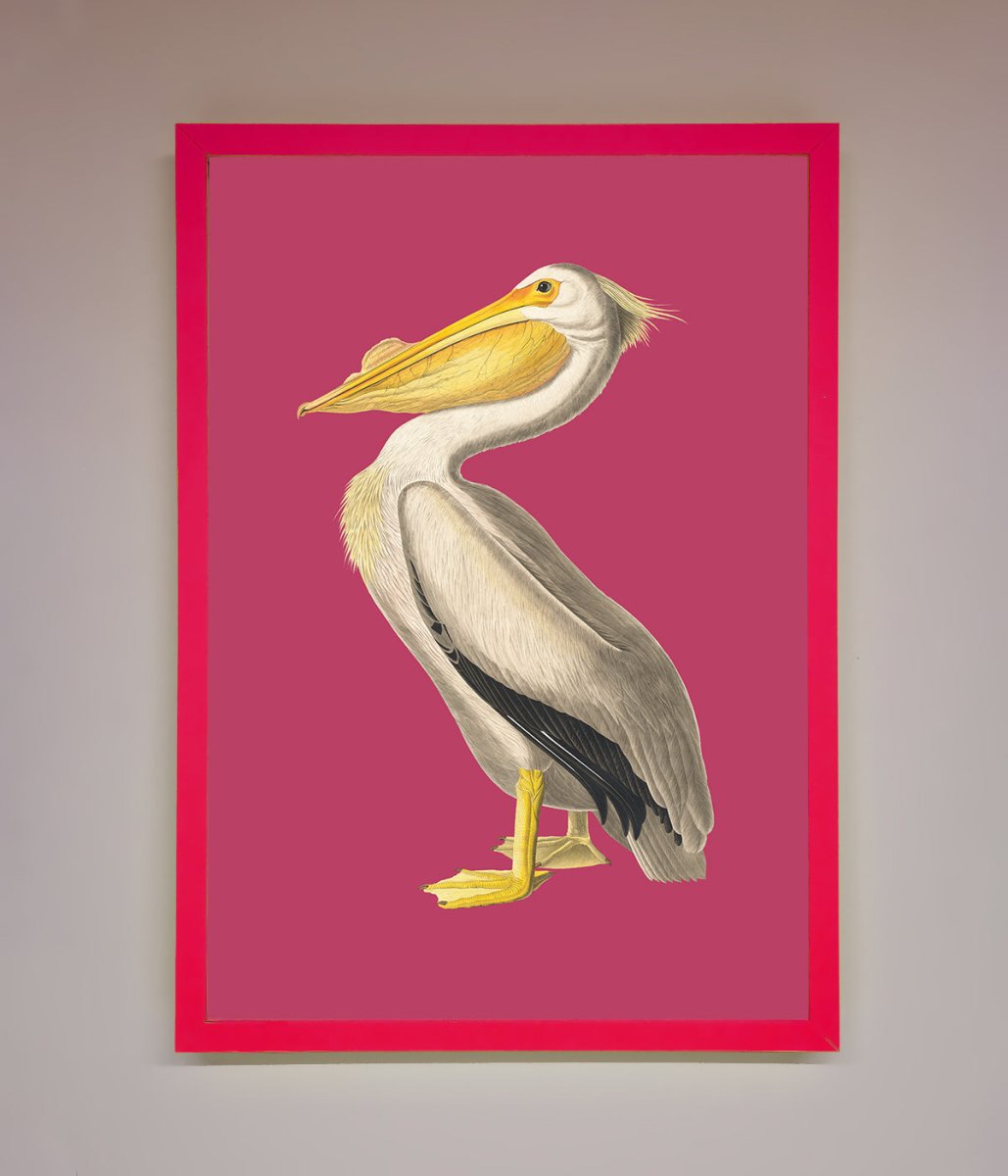 Pelican On Pink Framed Poster - Zestio