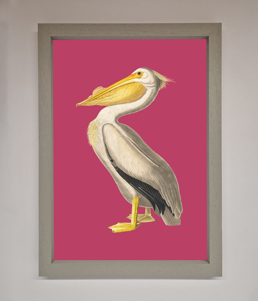 Pelican On Pink Framed Poster - Zestio