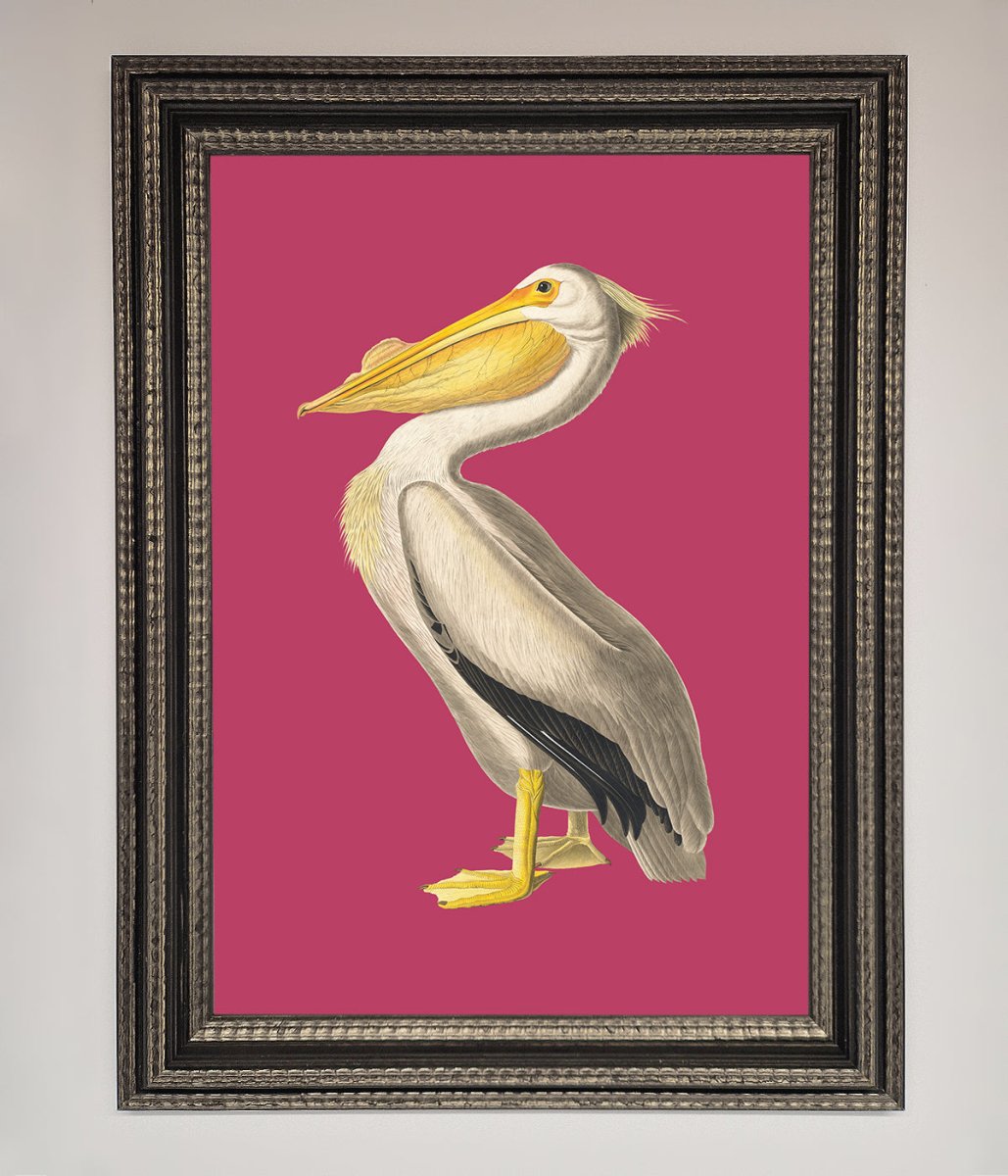 Pelican On Pink Framed Poster - Zestio