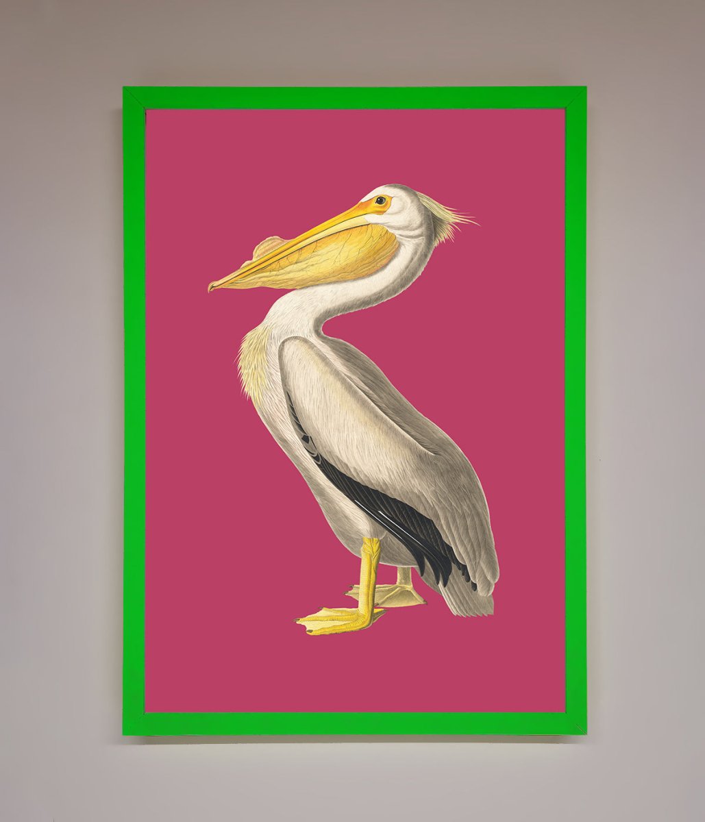 Pelican On Pink Framed Poster - Zestio