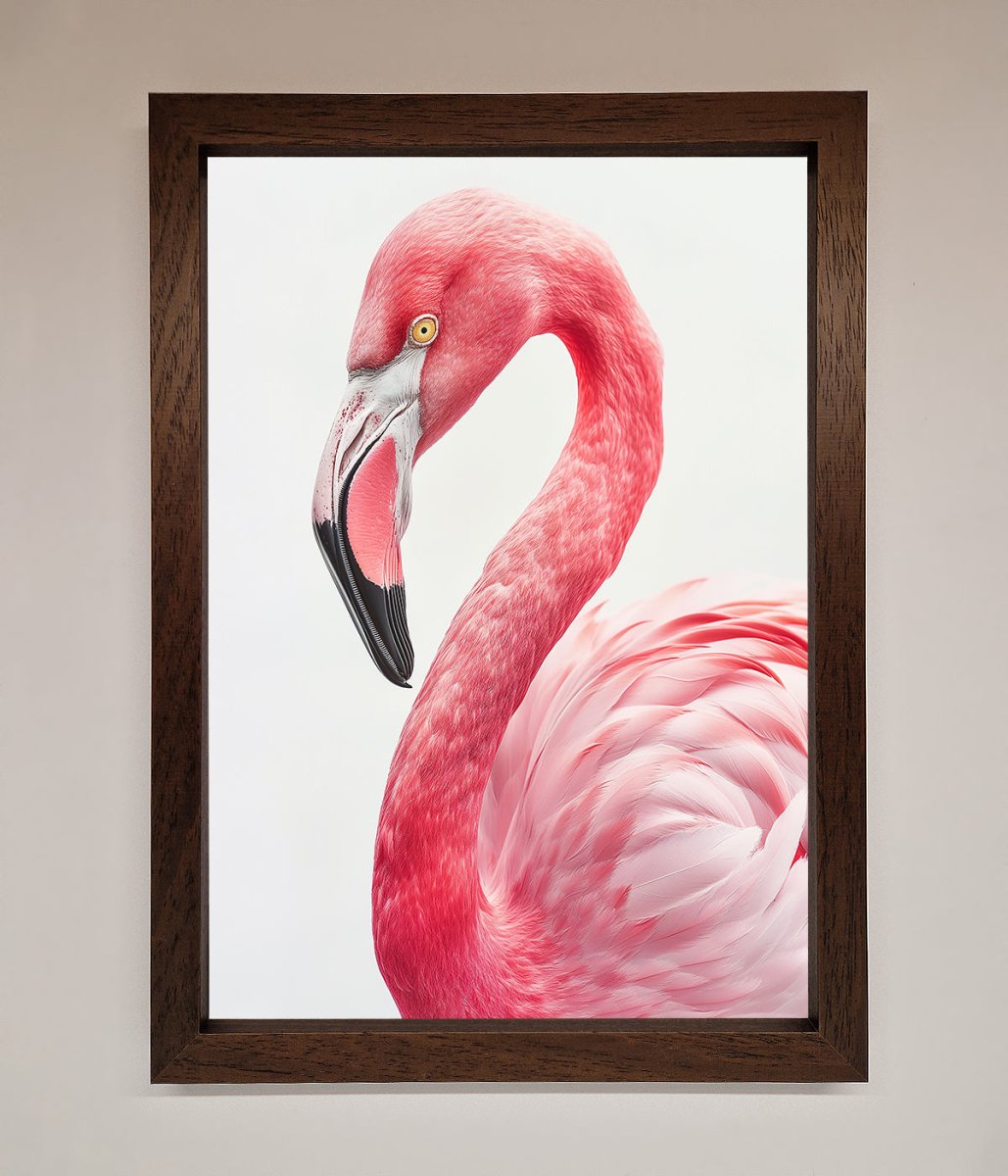 Pink Flamingo Stare Framed Print - Zestio