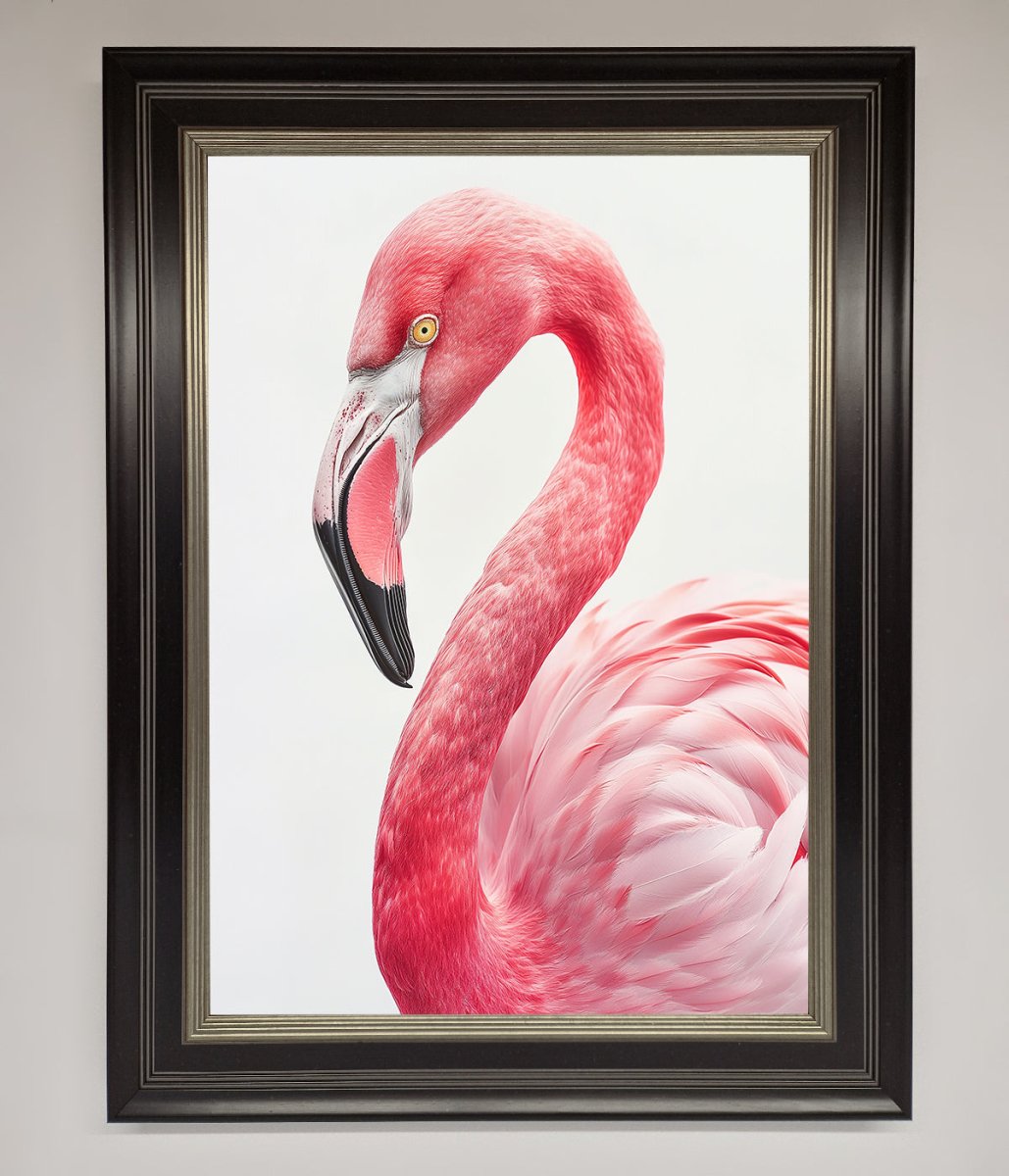 Pink Flamingo Stare Framed Print - Zestio