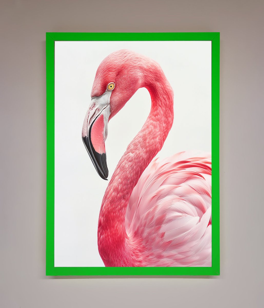 Pink Flamingo Stare Framed Print - Zestio