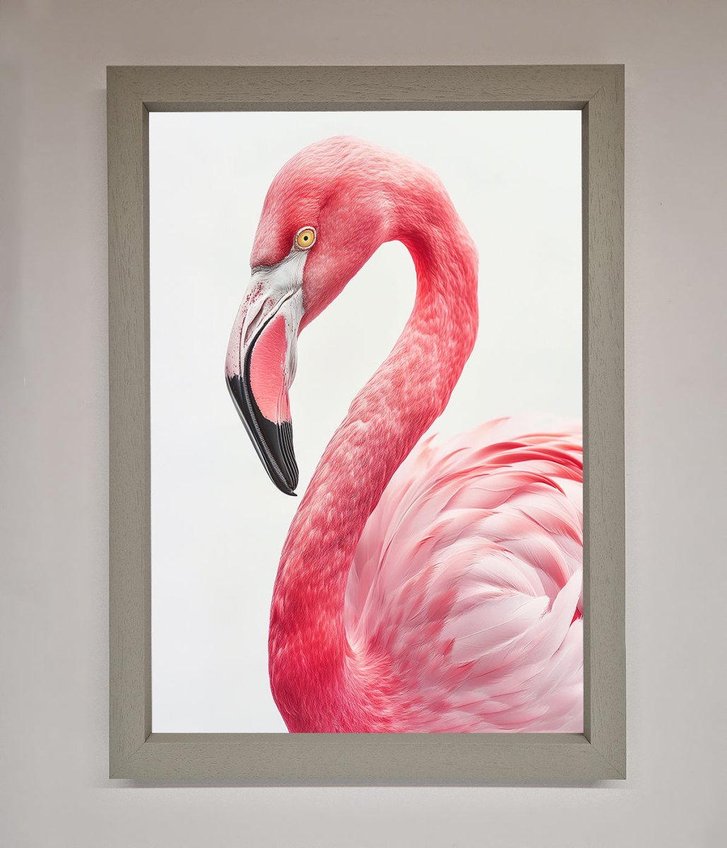 Pink Flamingo Stare Framed Print - Zestio