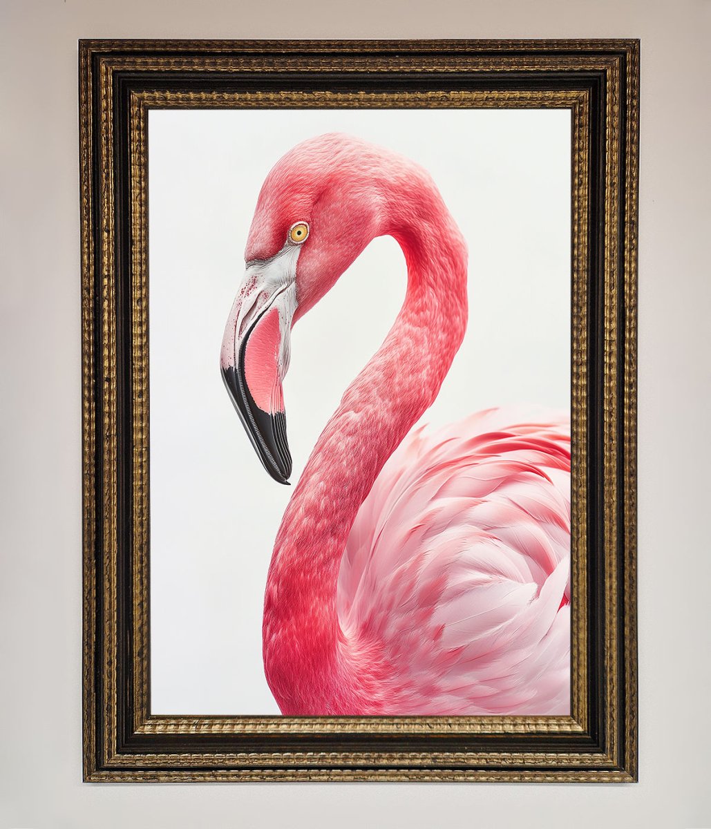 Pink Flamingo Stare Framed Print - Zestio