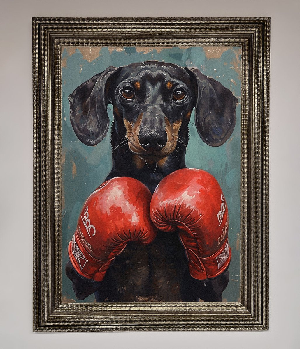 Sausage Dog Boxing Framed Print - Zestio