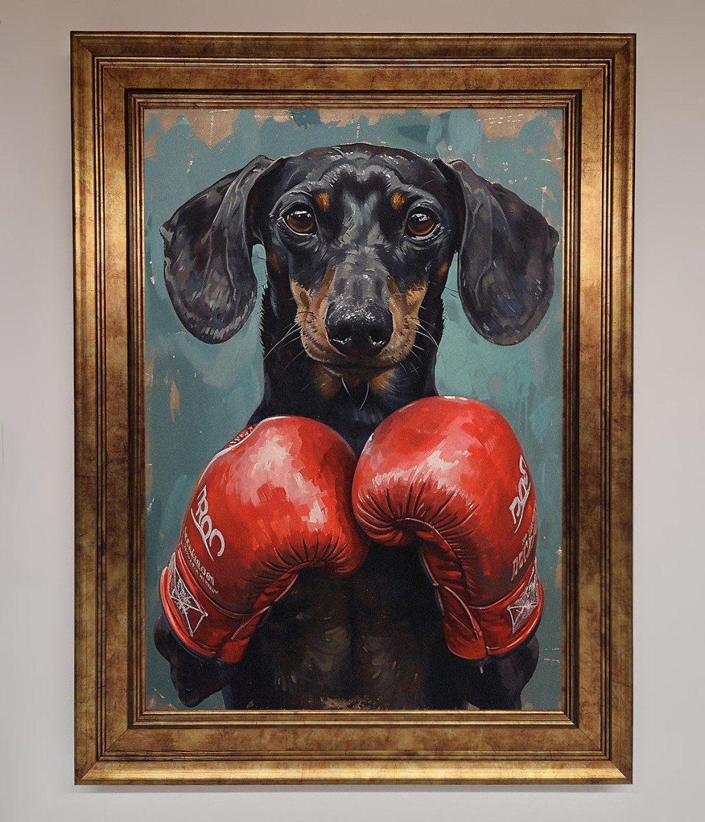 Sausage Dog Boxing Framed Print - Zestio