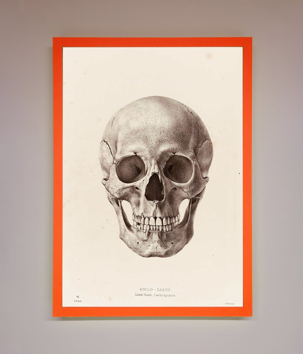 Skull Science Framed Poster - Zestio