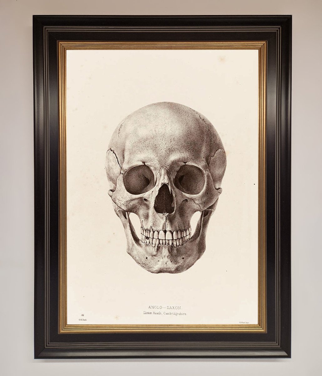 Skull Science Framed Poster - Zestio