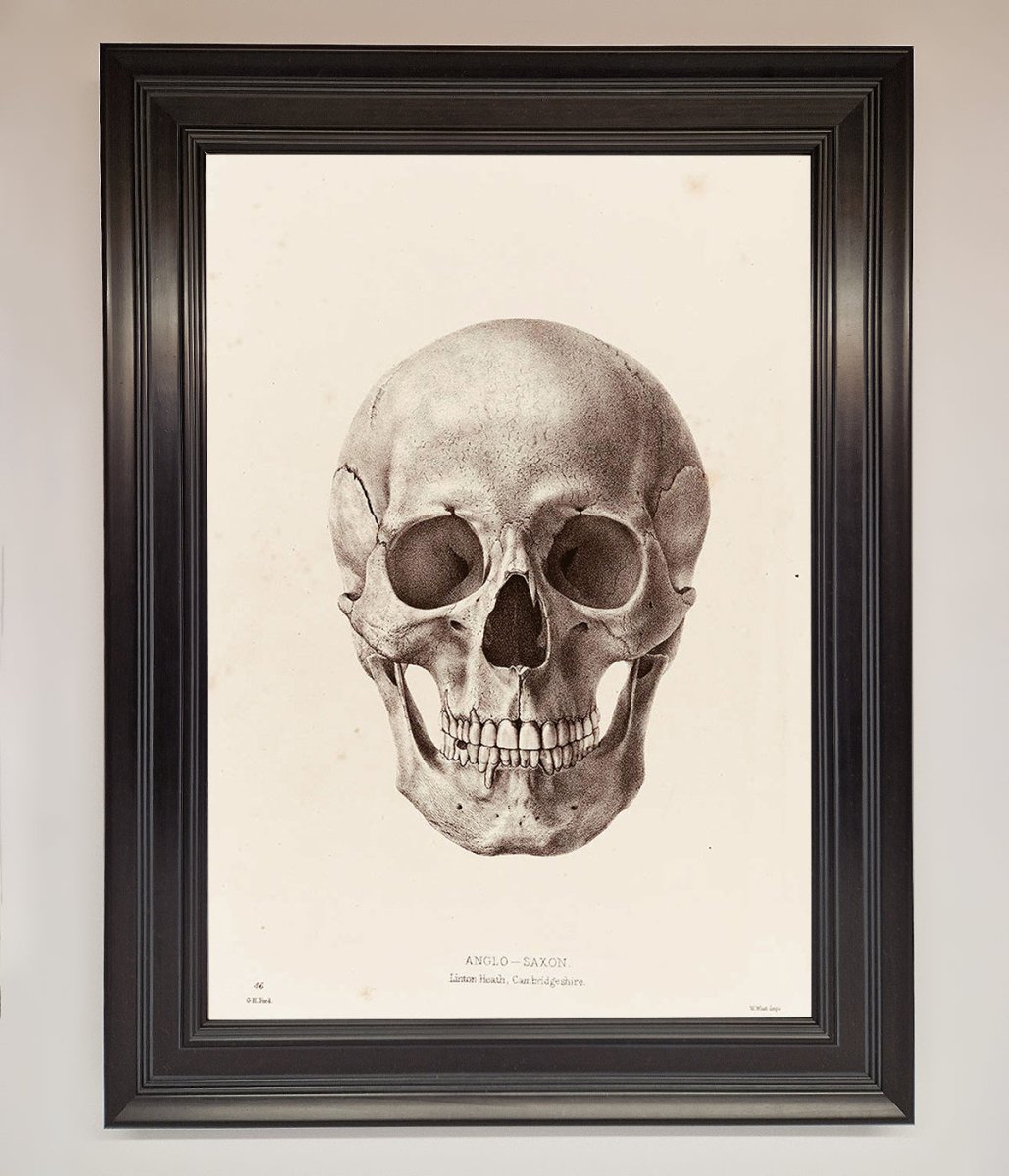 Skull Science Framed Poster - Zestio
