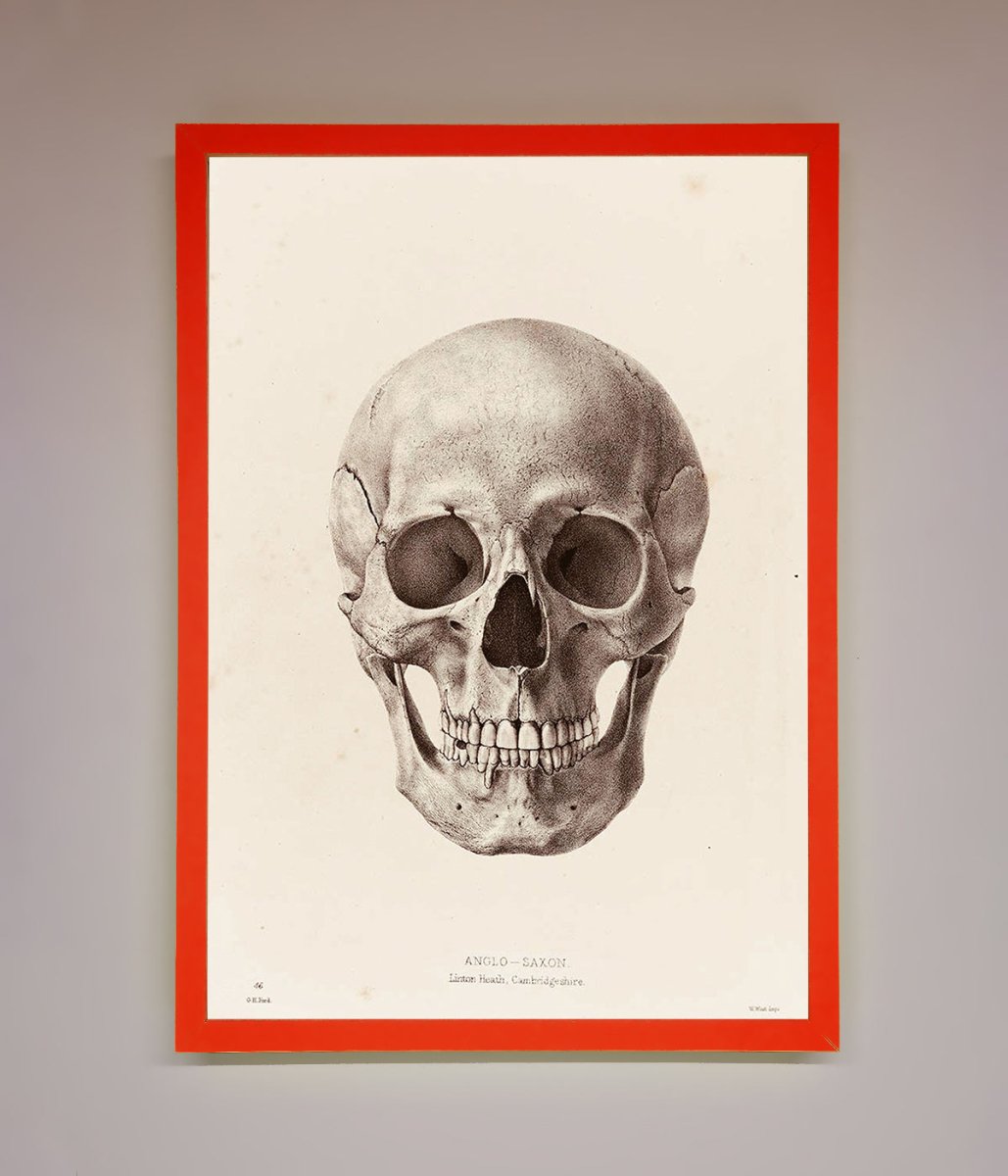 Skull Science Framed Poster - Zestio