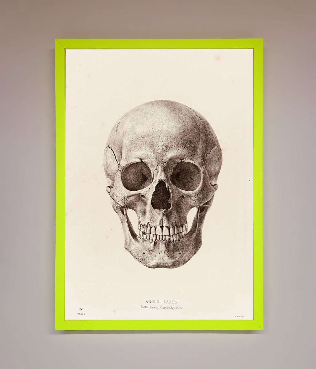 Skull Science Framed Poster - Zestio
