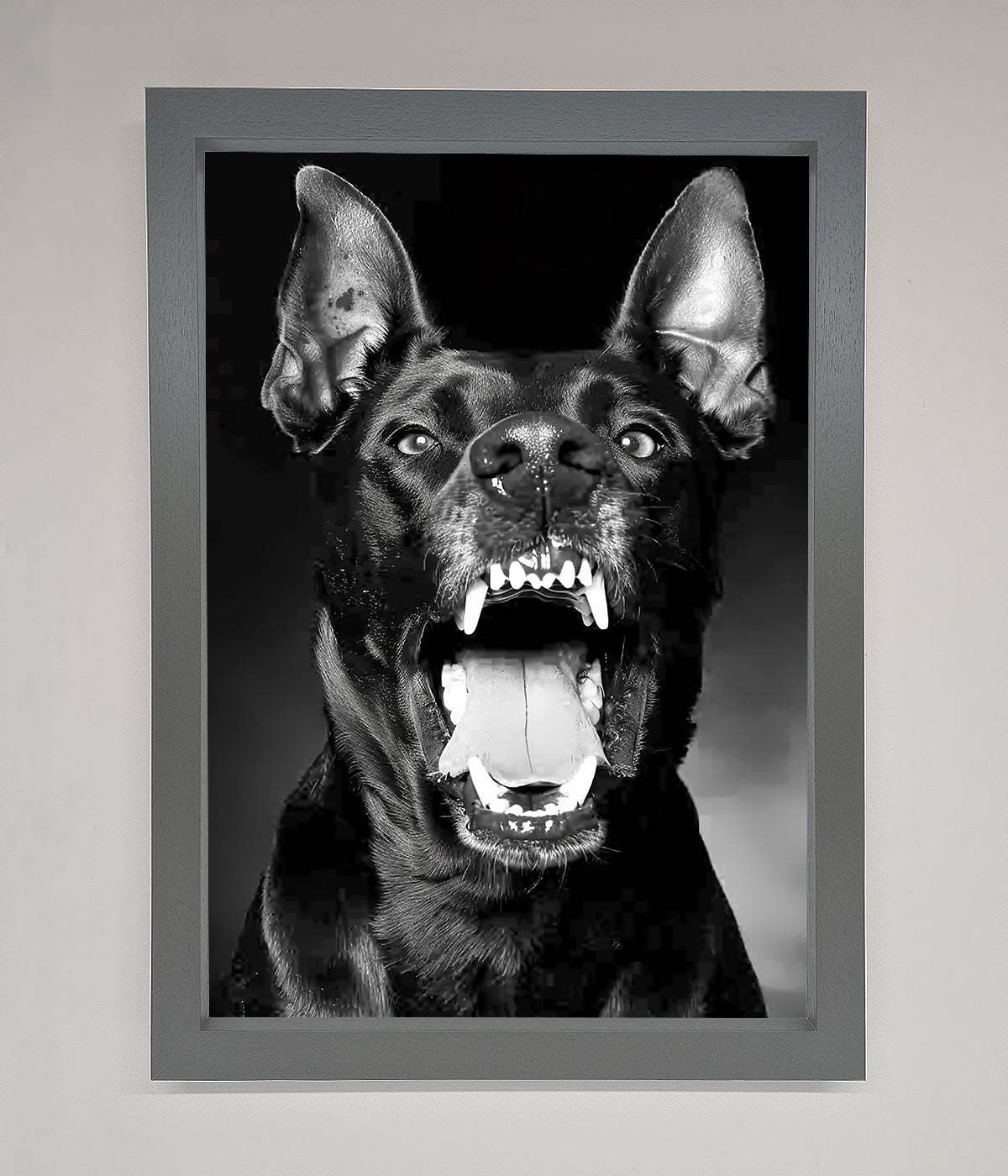 Angry Doberman Dog Framed Wall Art print