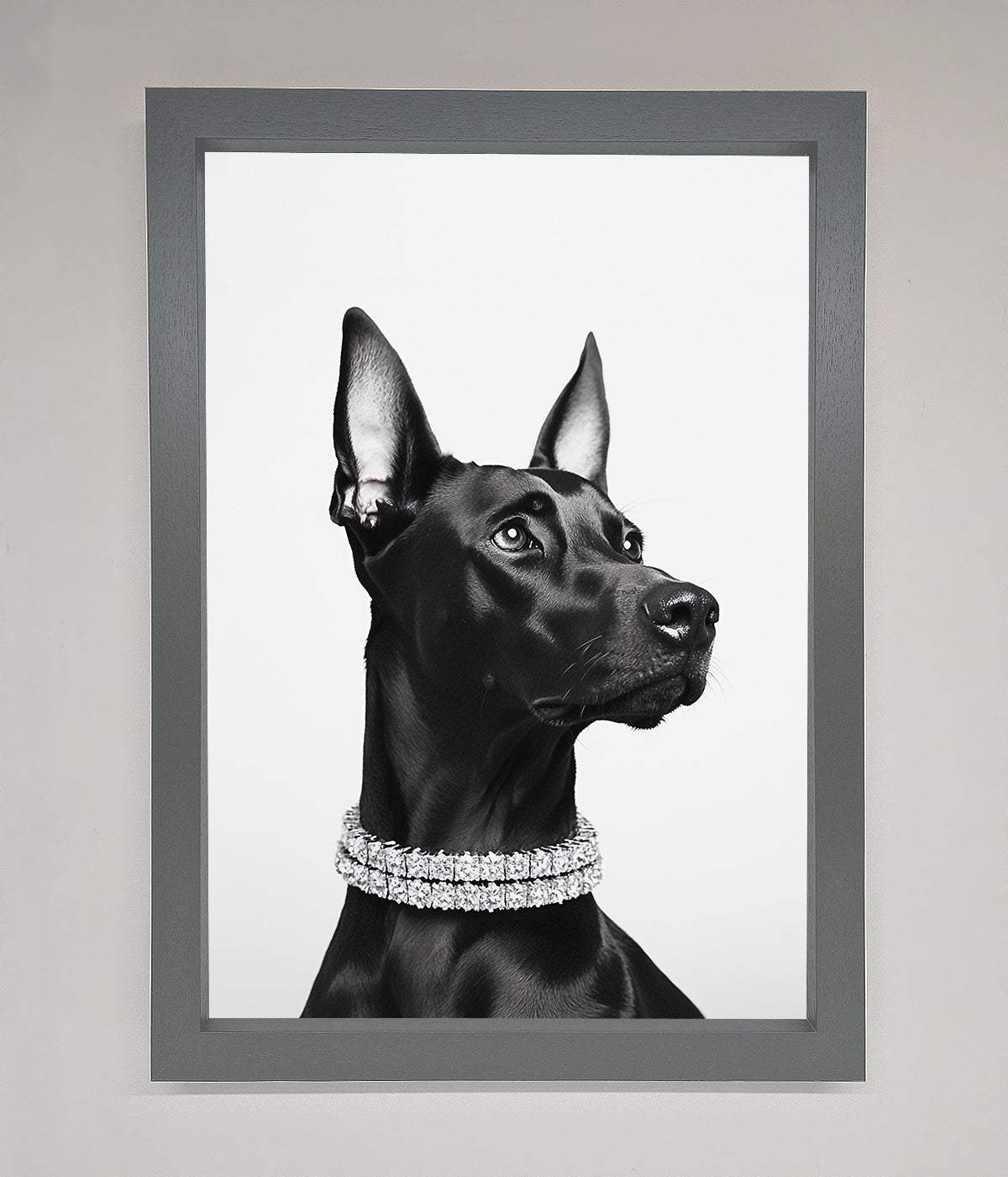 Black Doberman Diamond Neckless Framed Poster print