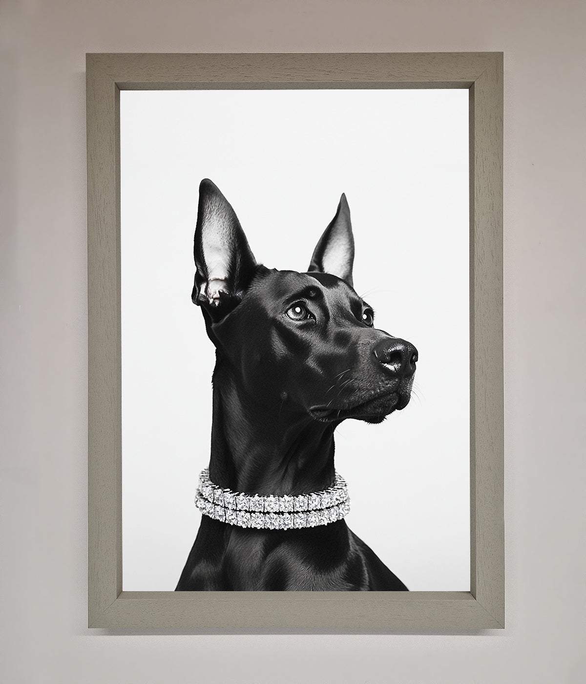 Black Doberman Diamond Neckless Framed Poster print