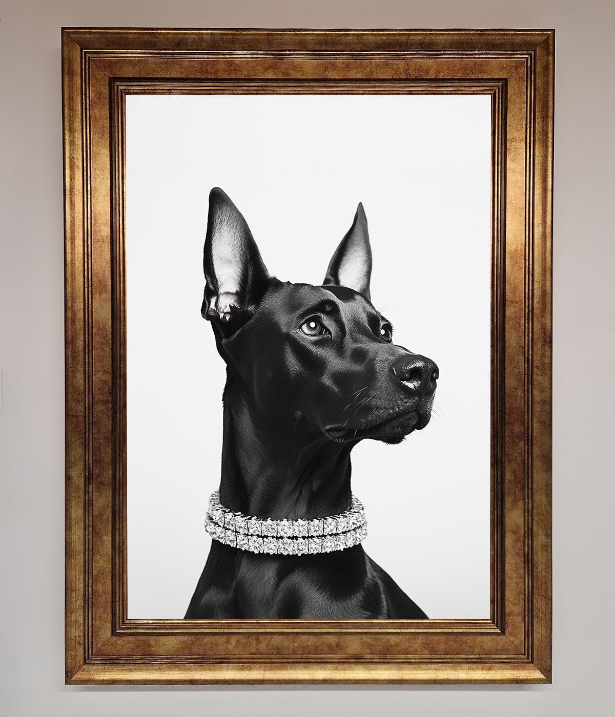 Black Doberman Diamond Neckless Framed Poster print