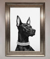 Black Doberman Diamond Neckless Framed Poster print