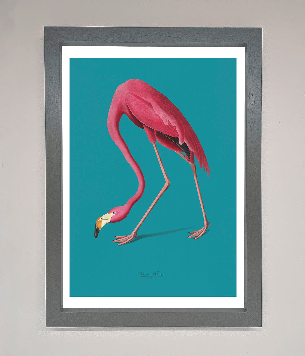 Flamingo Walks Blue Framed Print print