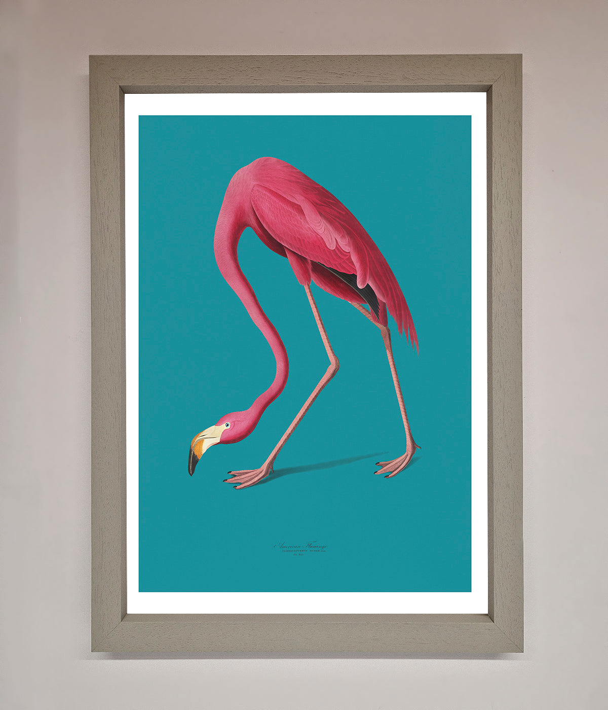 Flamingo Walks Blue Framed Print print