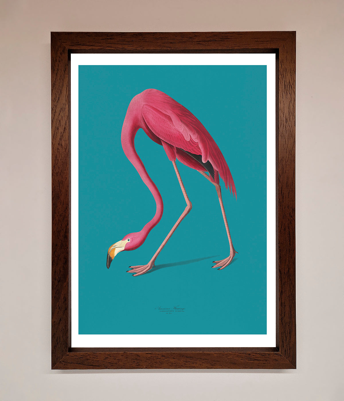 Flamingo Walks Blue Framed Print print