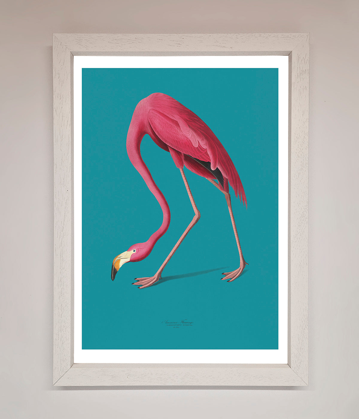 Flamingo Walks Blue Framed Print print