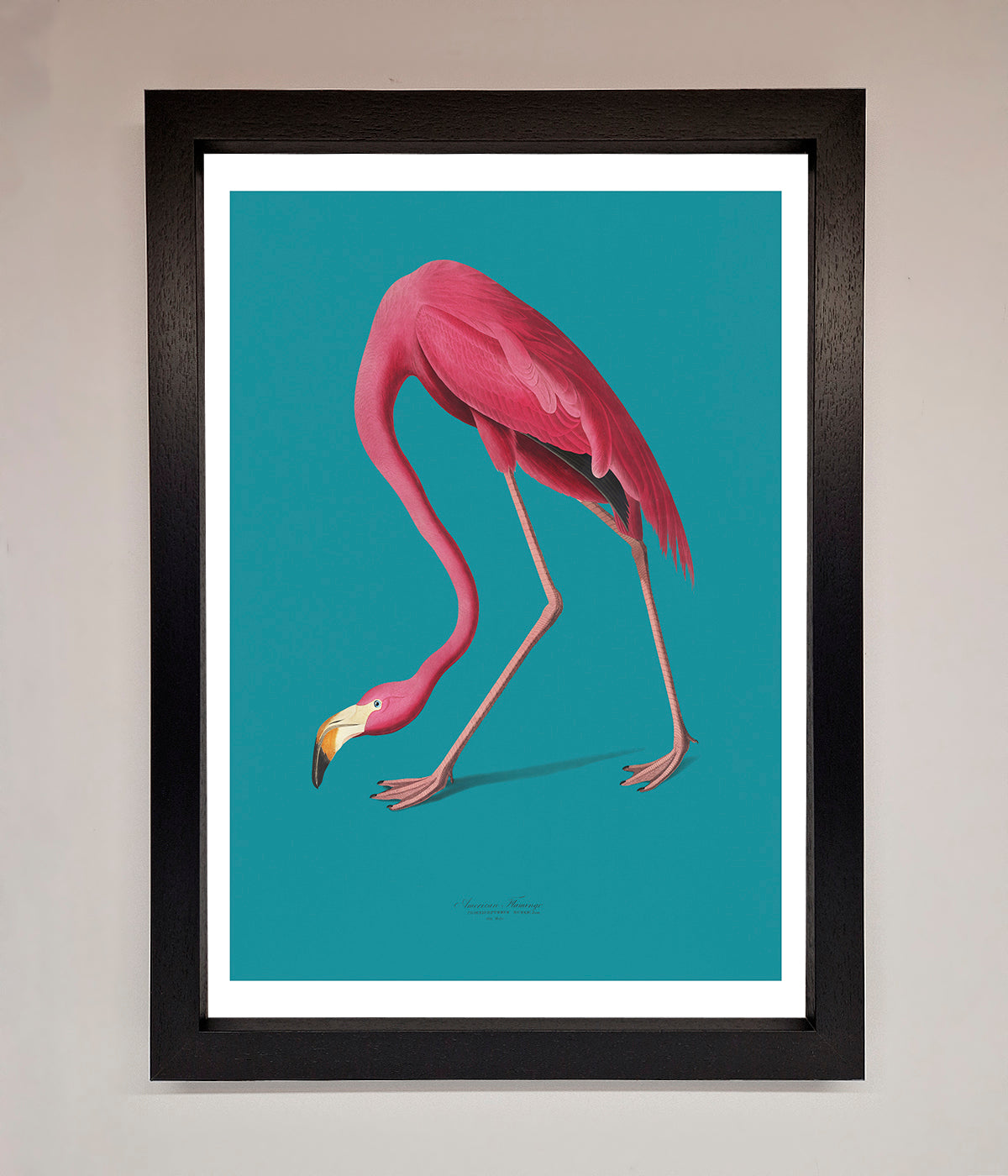 Flamingo Walks Blue Framed Print print