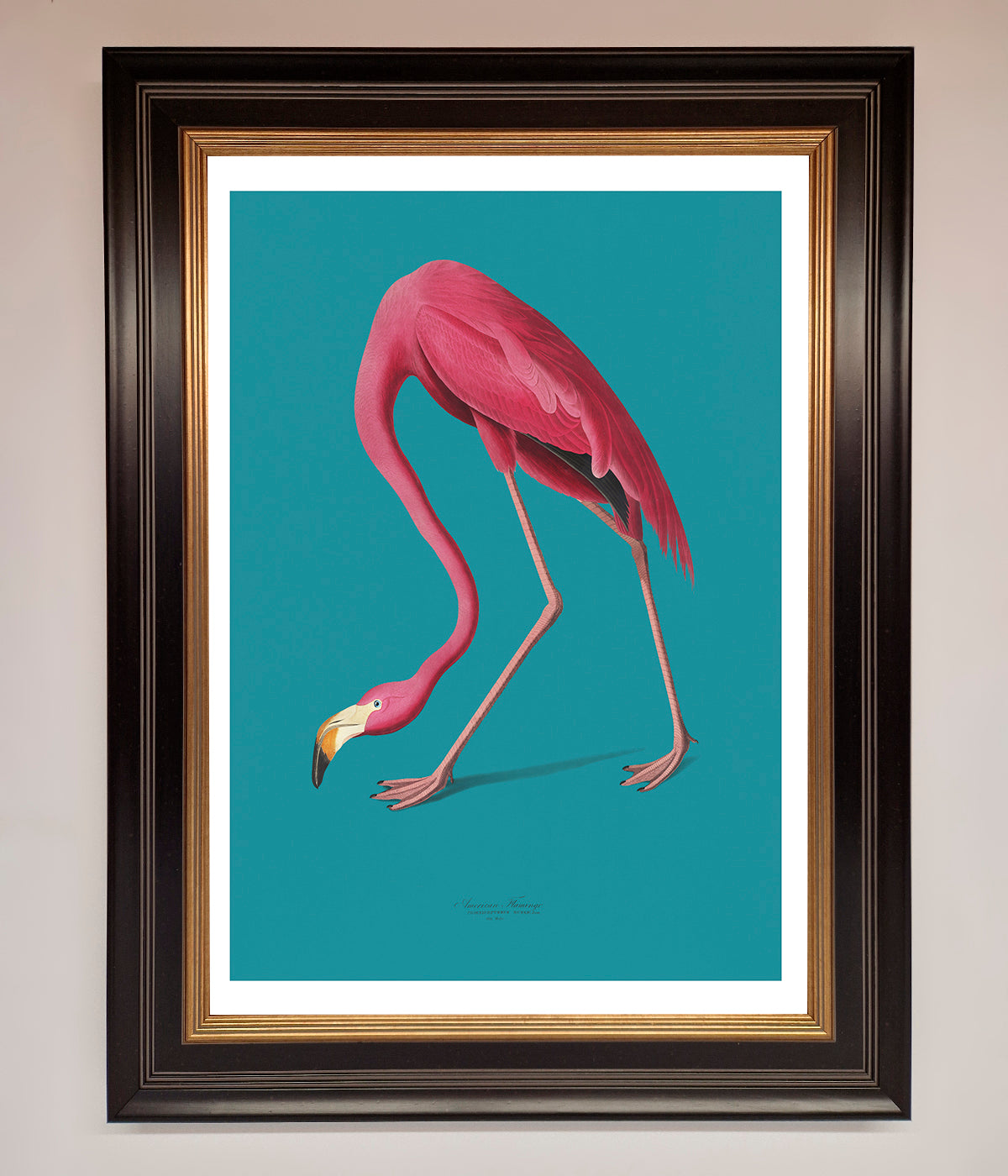 Flamingo Walks Blue Framed Print print