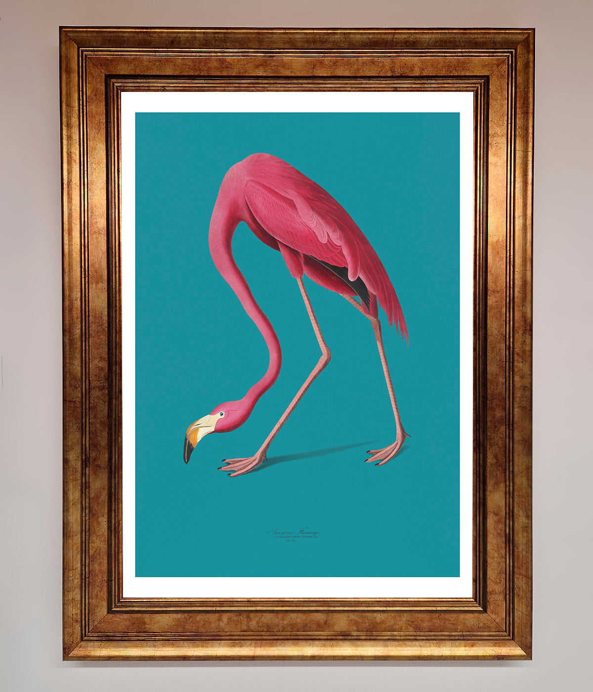 Flamingo Walks Blue Framed Print print