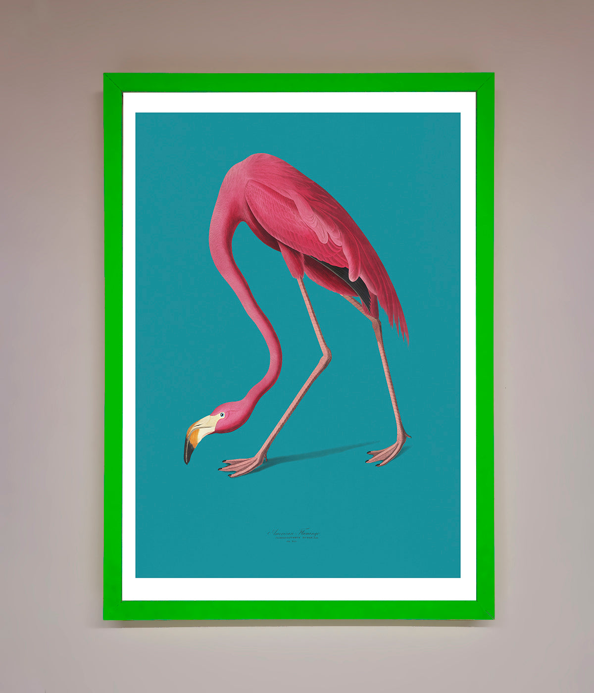 Flamingo Walks Blue Framed Print print