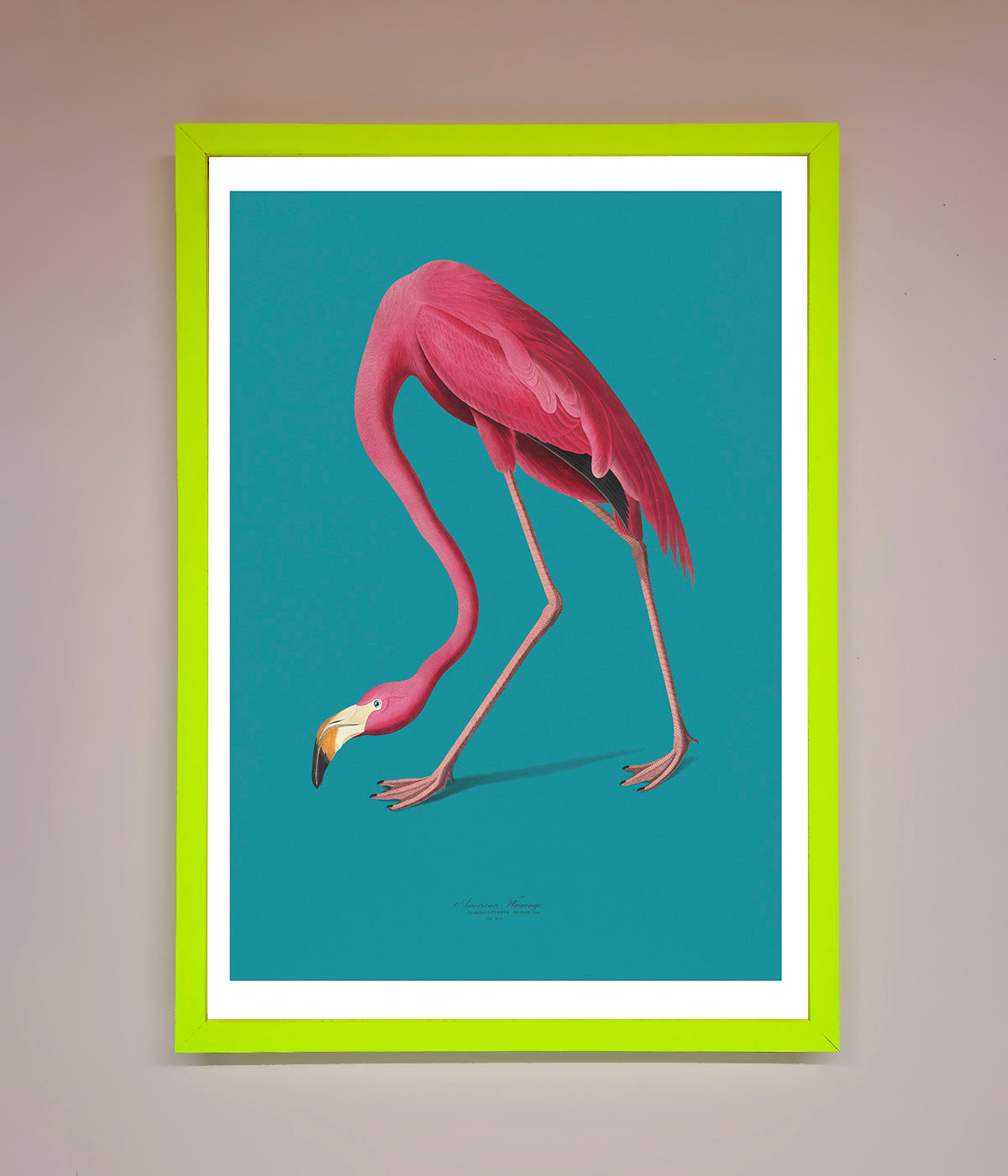 Flamingo Walks Blue Framed Print print